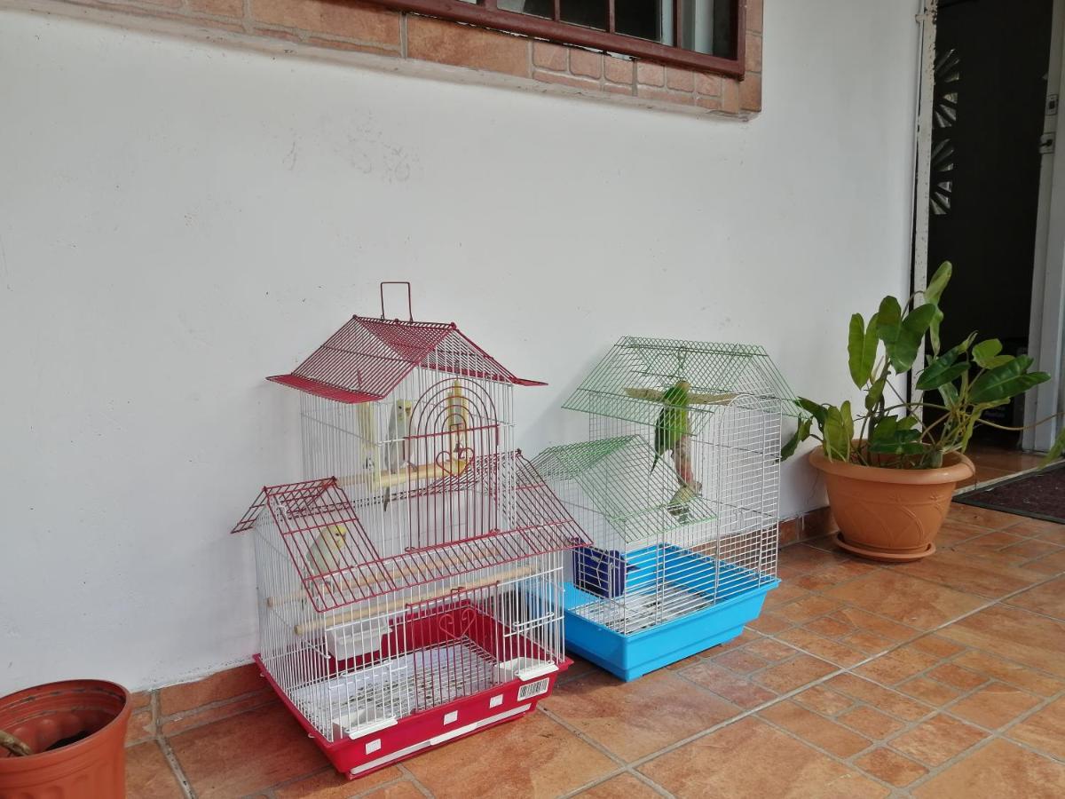 Casa Hostal Bouva El Valle de Anton Zewnętrze zdjęcie